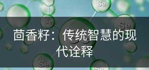 茴香籽：传统智慧的现代诠释